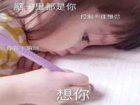 睢宁县沙集镇欣鼎建材销售部