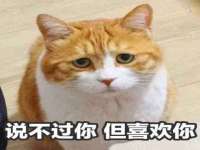 睢宁县沙集镇欣鼎建材销售部