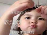 睢宁县沙集镇欣鼎建材销售部