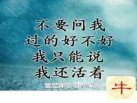 睢宁县沙集镇欣鼎建材销售部