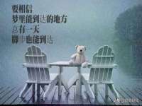 睢宁县沙集镇欣鼎建材销售部