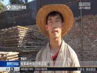 睢宁县沙集镇欣鼎建材销售部