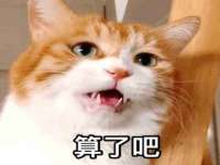 睢宁县沙集镇欣鼎建材销售部