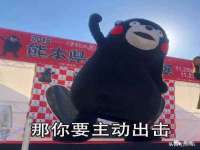 睢宁县沙集镇欣鼎建材销售部