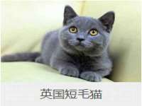 睢宁县沙集镇欣鼎建材销售部