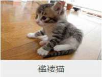 睢宁县沙集镇欣鼎建材销售部