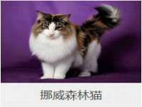 睢宁县沙集镇欣鼎建材销售部