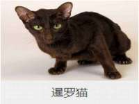 睢宁县沙集镇欣鼎建材销售部