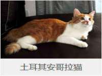 睢宁县沙集镇欣鼎建材销售部