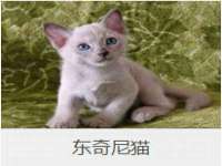 睢宁县沙集镇欣鼎建材销售部