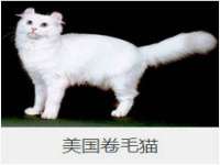 睢宁县沙集镇欣鼎建材销售部