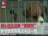 睢宁县沙集镇欣鼎建材销售部