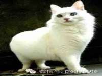 睢宁县沙集镇欣鼎建材销售部