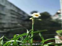 睢宁县沙集镇欣鼎建材销售部