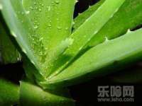 睢宁县沙集镇欣鼎建材销售部