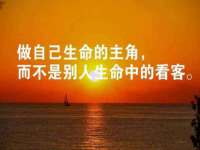 睢宁县沙集镇欣鼎建材销售部