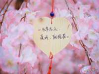 睢宁县沙集镇欣鼎建材销售部