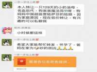 睢宁县沙集镇欣鼎建材销售部