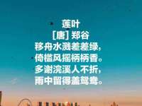 睢宁县沙集镇欣鼎建材销售部
