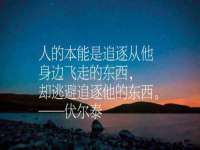睢宁县沙集镇欣鼎建材销售部
