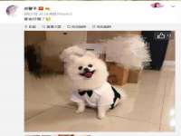睢宁县沙集镇欣鼎建材销售部