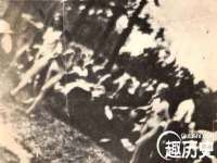 睢宁县沙集镇欣鼎建材销售部