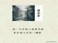 睢宁县沙集镇欣鼎建材销售部