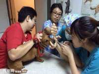 睢宁县沙集镇欣鼎建材销售部