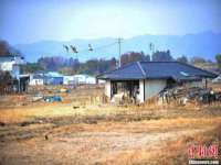 睢宁县沙集镇欣鼎建材销售部
