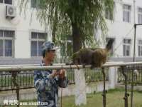 睢宁县沙集镇欣鼎建材销售部