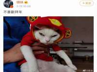 睢宁县沙集镇欣鼎建材销售部