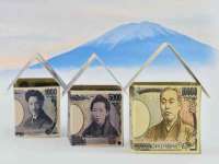 睢宁县沙集镇欣鼎建材销售部
